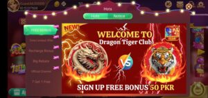 Dragon Tiger Club 2
